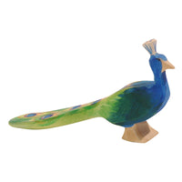 Ostheimer Peacock - Amousewithahouse